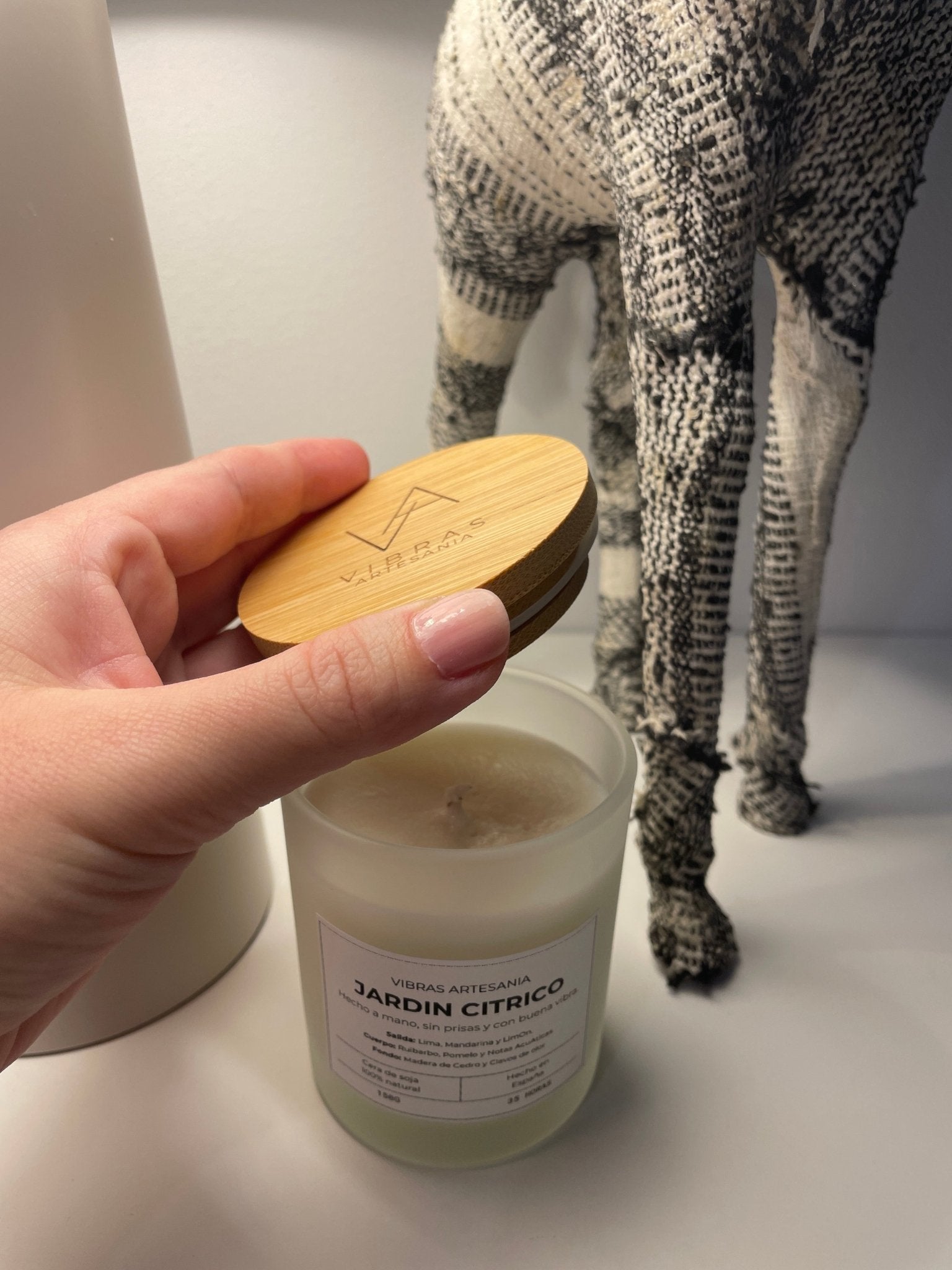 Vela Aromática Jardin Cítrico 150gr - Vibras Artesanía